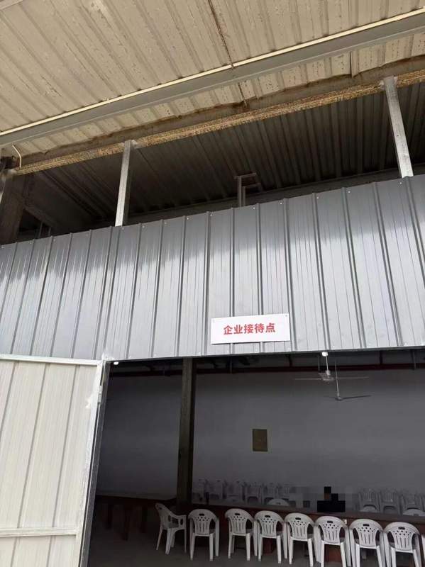  盈科掌门人梅向荣主动投案，其妹梅亚萍代理现身上海接待点；两套十年周期方案遭质疑，内部员工亦深陷资金困扰。 新闻