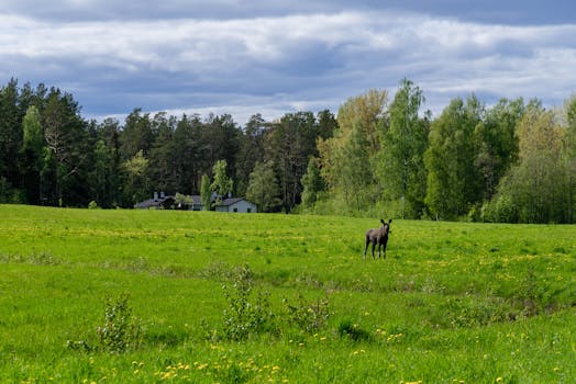  地缘风险推动能源市场重塑；俄罗斯油气部门显现积极信号；财政平衡面临新考量。 股票财经 地缘风险推动能源市场重塑；俄罗斯油气部门显现积极信号；财政平衡面临新考量。 股票财经
