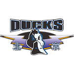  2026赛季CBA战术洞察：超级第六人模式下的逆转逻辑与执行力分析 体育新闻 2026赛季CBA战术洞察：超级第六人模式下的逆转逻辑与执行力分析 体育新闻