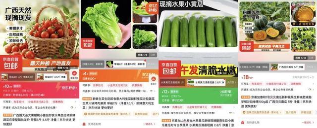  春日消费新风潮：山野间的精致餐桌如何引爆增长？ 新闻