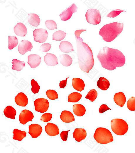  能源套保交易者：临近交割月额度精准优化实战策略 IT技术