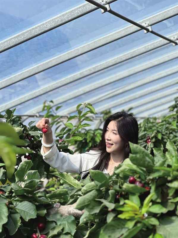  技术驱动·四季变现——兰州采摘经济产业化升级深度方法论 文化旅游