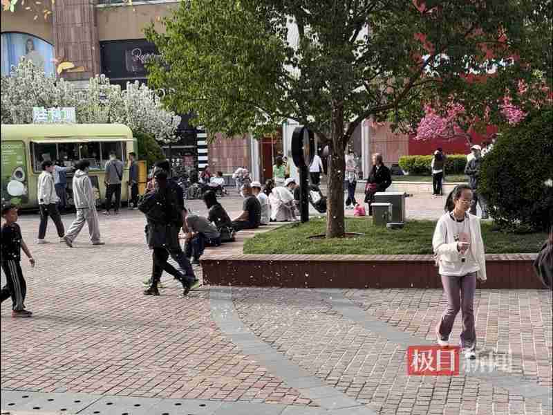  【技术解码】北京杨柳絮高发期：原理、危害与科学防治全景图谱 健康养生