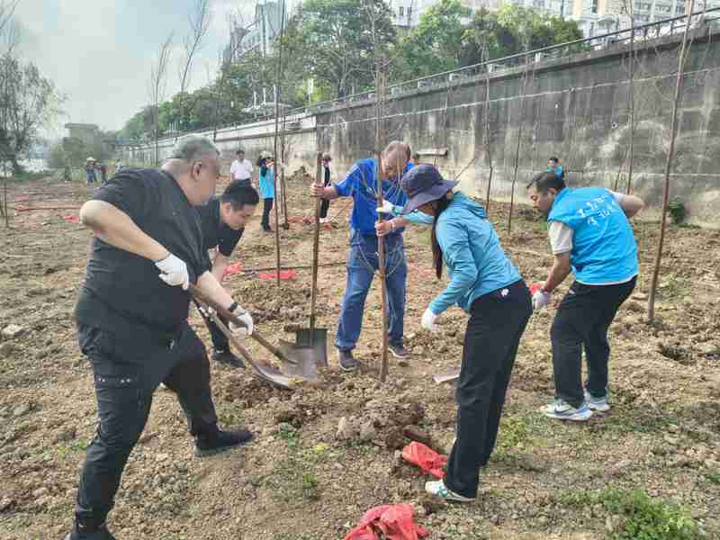  以党建引领破解民企融资困局：白沙商会银商共建模式的实践与启示 企业服务