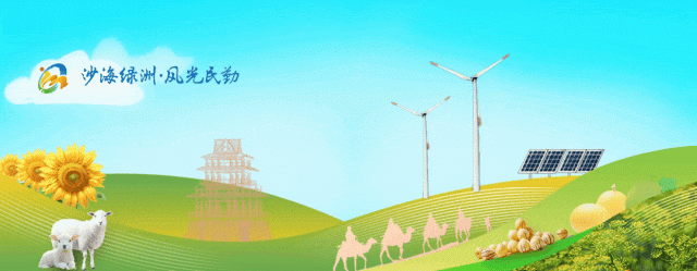  从戈壁到绿洲：民勤党建林背后的技术逻辑与生态产业价值 新闻