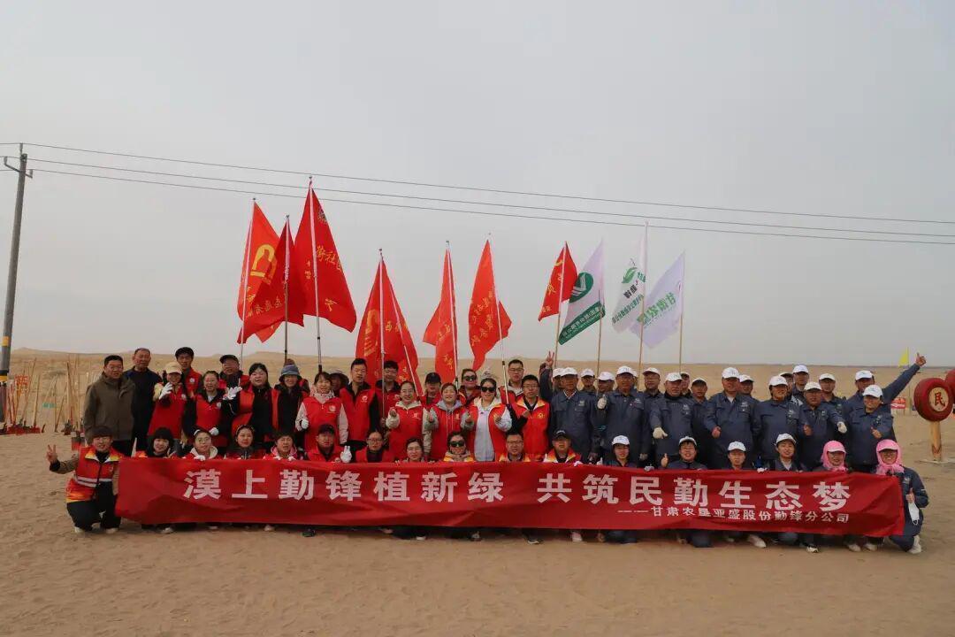  从戈壁到绿洲：民勤党建林背后的技术逻辑与生态产业价值 新闻