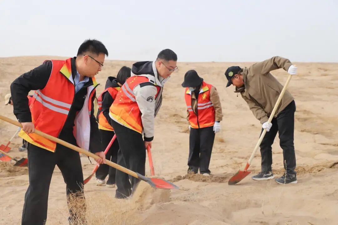  从戈壁到绿洲：民勤党建林背后的技术逻辑与生态产业价值 新闻