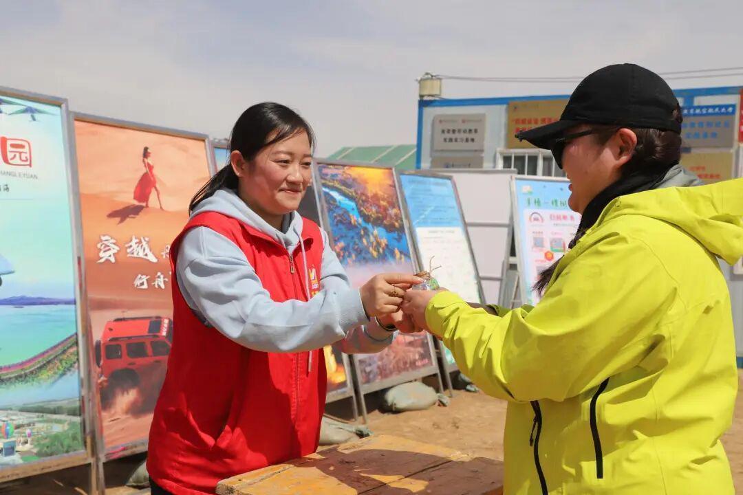  从戈壁到绿洲：民勤党建林背后的技术逻辑与生态产业价值 新闻