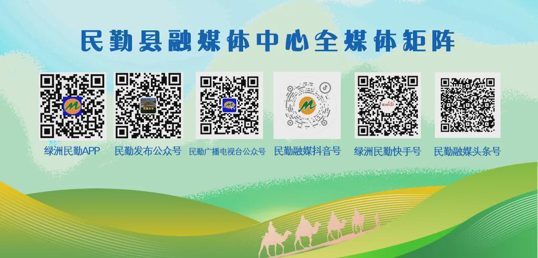  从戈壁到绿洲：民勤党建林背后的技术逻辑与生态产业价值 新闻