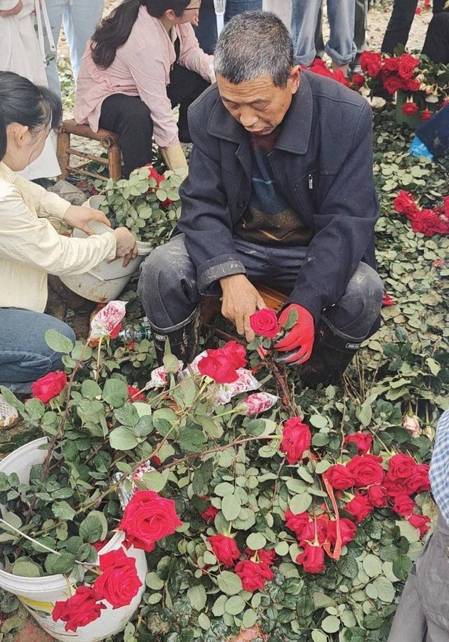  那个被游客喊作"爷爷"的花农，教会我们什么叫"活在热爱里" 情感心理