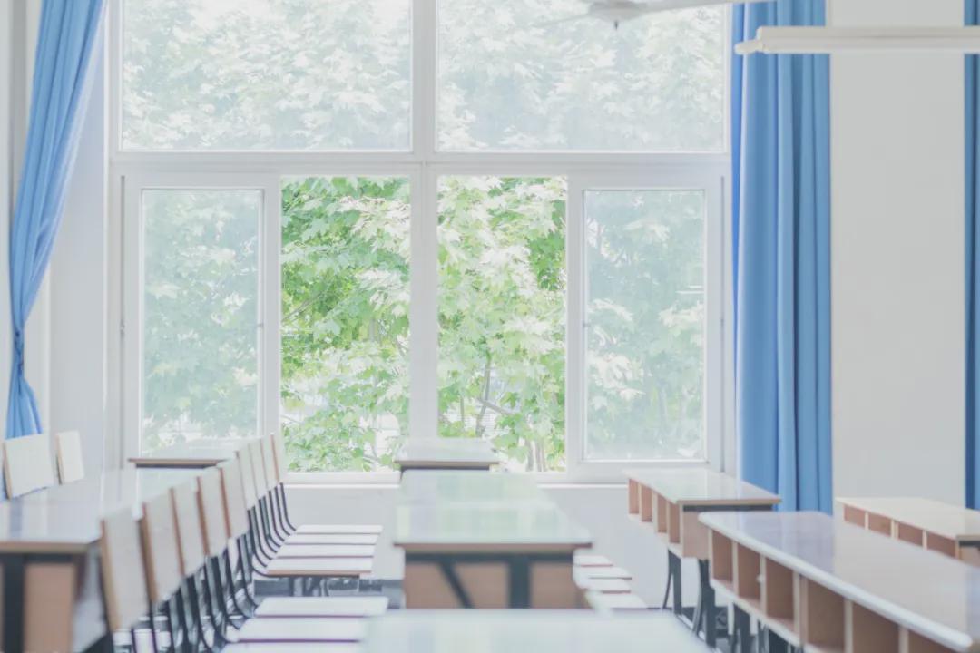  从「救火队长」到「生态设计师」：一位校长的观察者距离修炼手册 教育招生