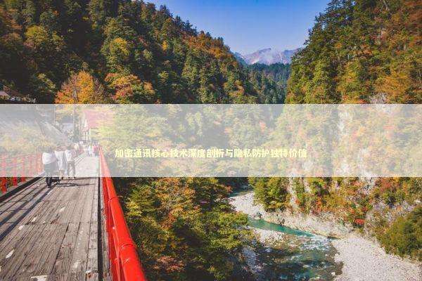 加密通讯核心技术深度剖析与隐私防护独特价值 新闻