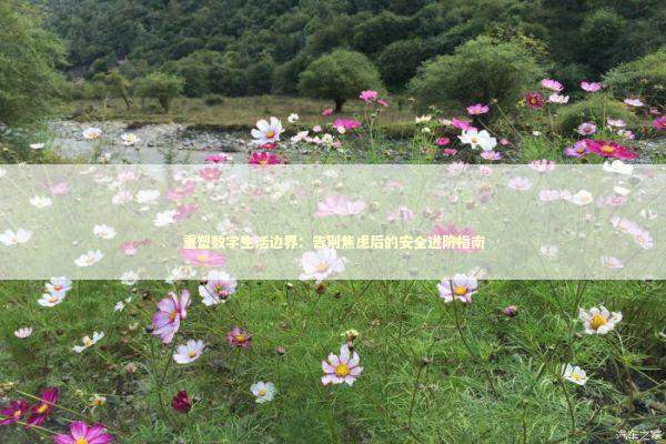 重塑数字生活边界：告别焦虑后的安全进阶指南 IT技术