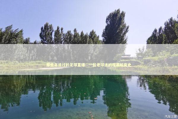 那些年追过的足球直播：一位老球迷的观赛蜕变史 体育新闻