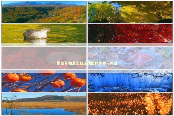 那些年在潮流鞋店找回的青春与热血 时尚用品