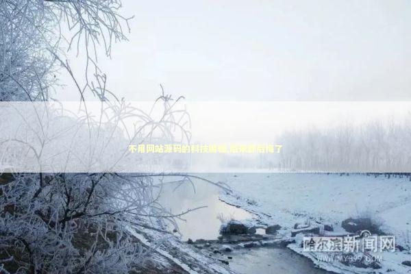 不用网站源码的科技编辑,后来都后悔了 IT技术