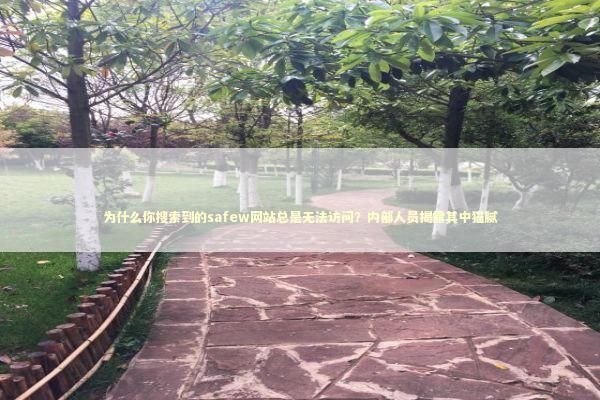 为什么你搜索到的safew网站总是无法访问？内部人员揭露其中猫腻 IT技术