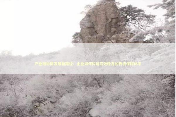 产业链协同发展新路径：企业如何构建高效稳定的物资保障体系 企业服务