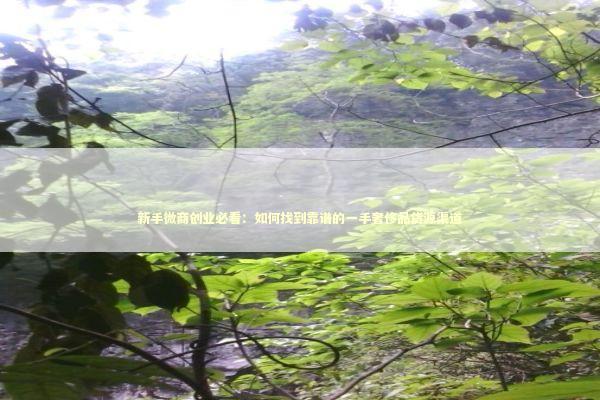 新手微商创业必看：如何找到靠谱的一手奢侈品货源渠道 企业服务