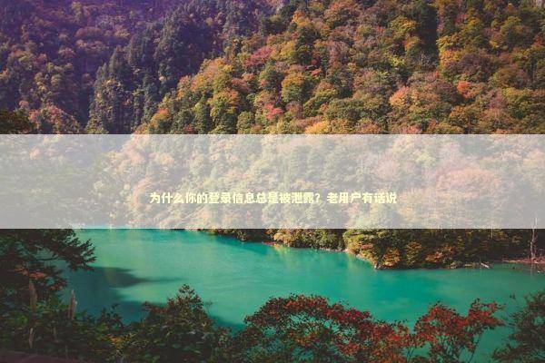 为什么你的登录信息总是被泄露？老用户有话说 IT技术