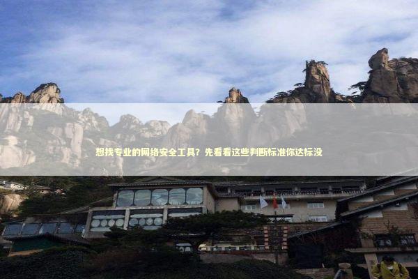 想找专业的网络安全工具？先看看这些判断标准你达标没 IT技术